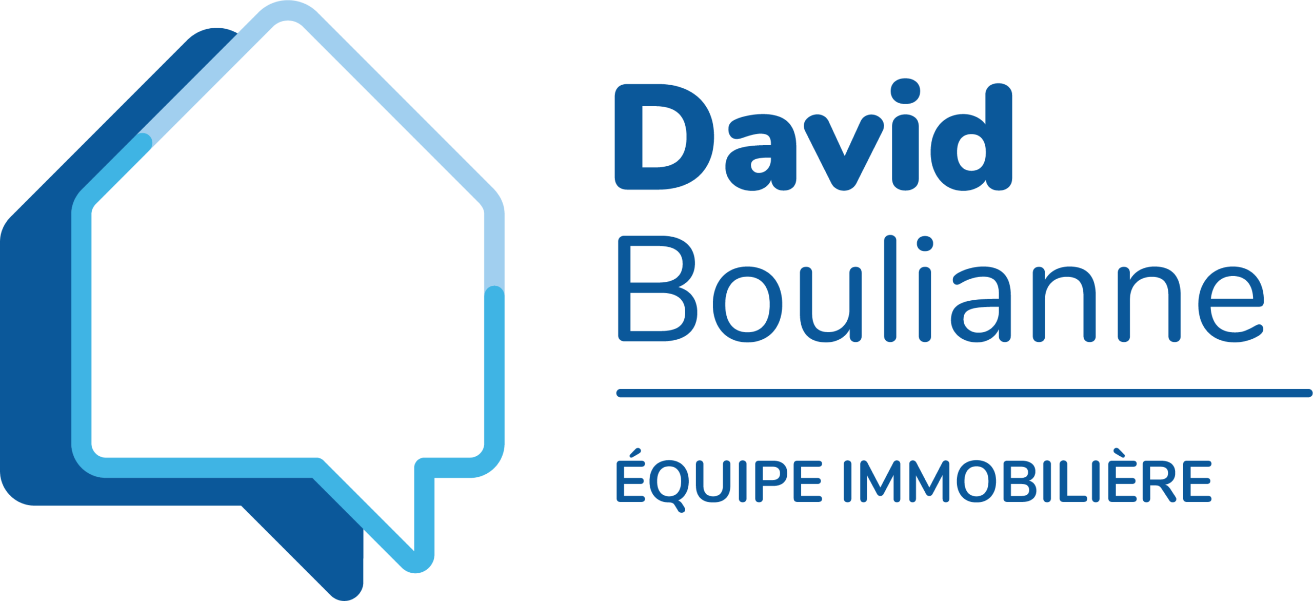 19420_DavidBoulianne_Branding_Logo-Hcouleurs